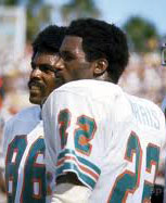 Marlin Briscoe & Mercury Morris, Dolphins